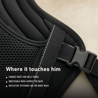Padded panel, breathable mesh and reflective stitching detail