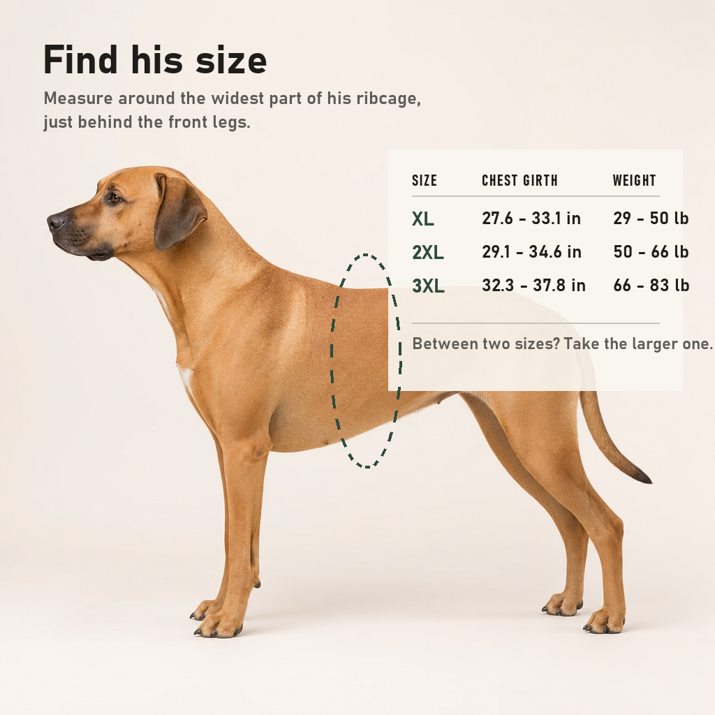 Size guide: measure the chest girth just behind the front legs