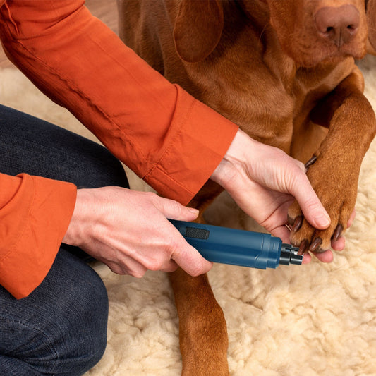 Quiet USB rechargeable dog nail grinder