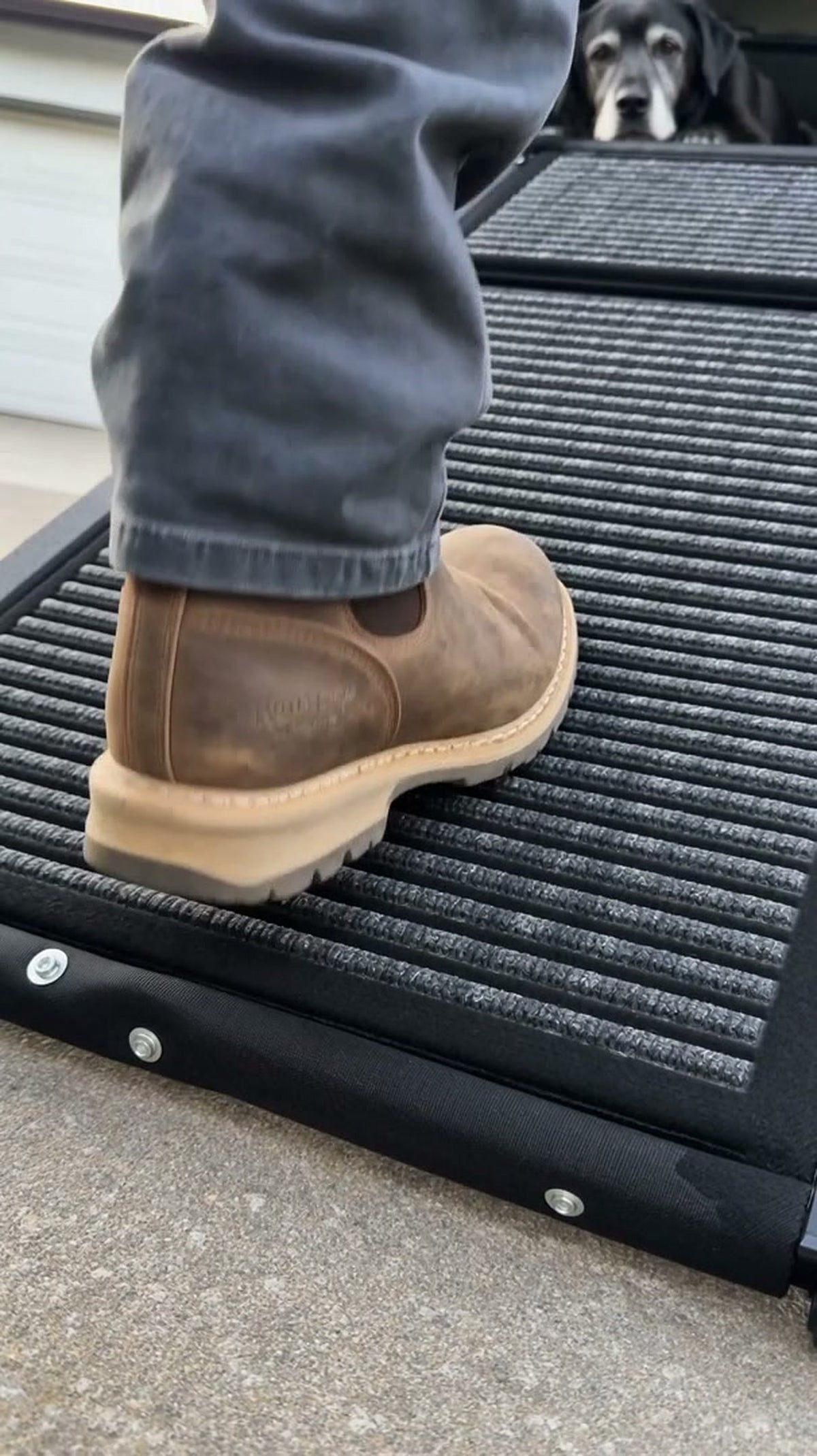 A man stands with his full weight on the middle of the dog ramp while his dog watches from the tailgate