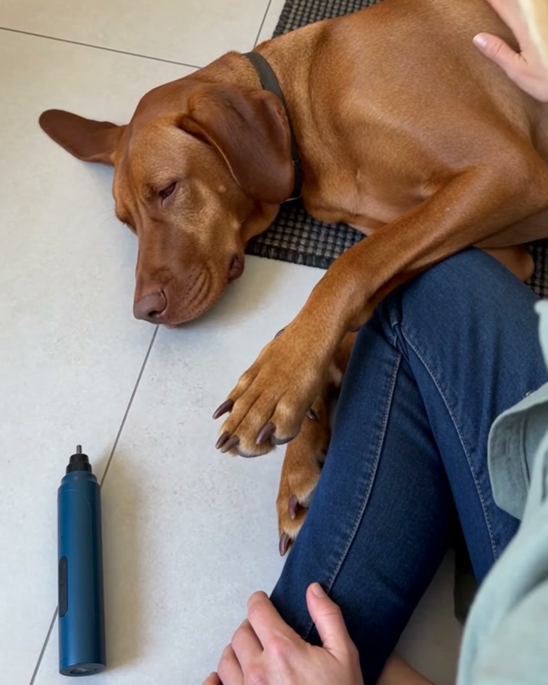 A dog sleeps on the kitchen floor with his paw on his owner's leg and the grinder switched off beside them