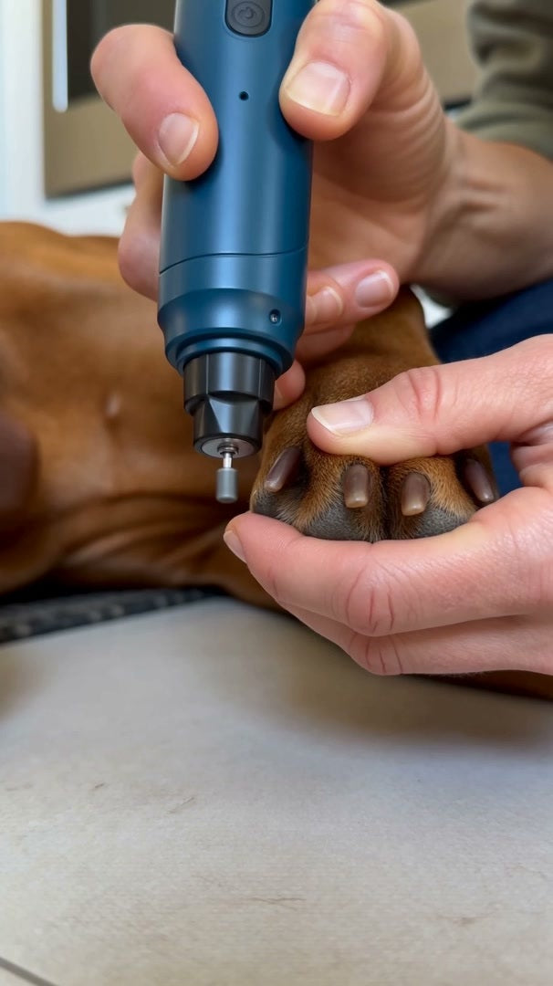 A hand holding a dog paw and taking a little off one nail with the quiet grinder